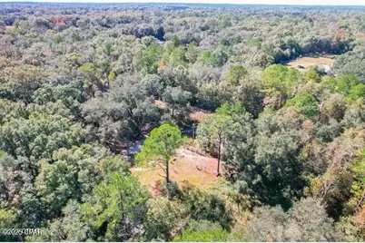 1873 Adolph Whitaker Road, Bonifay, FL 32425 - Photo 8