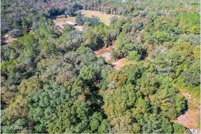 1873 Adolph Whitaker Road, Bonifay, FL 32425 - Photo 14
