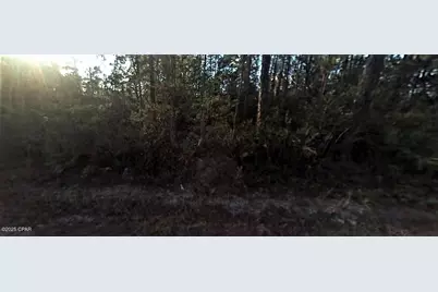0 Forest Drive, Fountain, FL 32438 - Photo 2