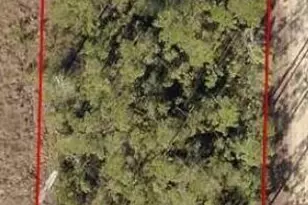 0 Forest Dr, Fountain, FL 32438 - Photo 1