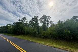 Lot 8 View Dr, Alford, FL 32420 - Photo 1