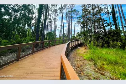 320 Moonrise Avenue, Port Saint Joe, FL 32456 - Photo 38
