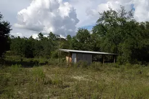 5491 Hwy 77, Chipley, FL 32428 - Photo 22