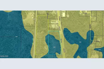 11.45 Acre Us-231, Cottondale, FL 32431 - Photo 4