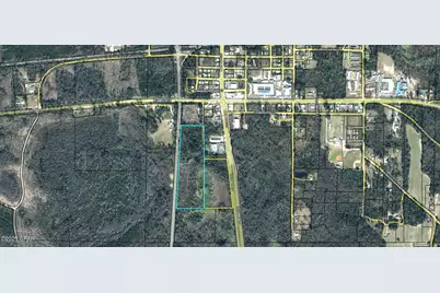 16.14 Acre Cartledge Road, Cottondale, FL 32431 - Photo 4