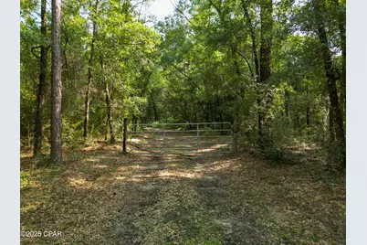 1509 Southern Way, Chipley, FL 32428 - Photo 44