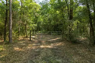 1509 Southern Way, Chipley, FL 32428 - Photo 44