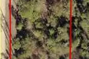 0 Ivydell St, Fountain, FL 32438 - Photo 1