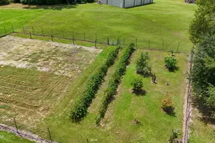 3754 Annie Rd, Marianna, FL 32446 - Photo 36