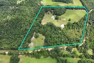 3754 Annie Rd, Marianna, FL 32446 - Photo 46