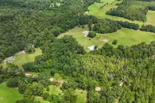 3754 Annie Rd, Marianna, FL 32446 - Photo 42