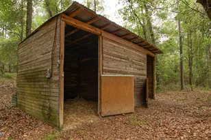 3754 Annie Rd, Marianna, FL 32446 - Photo 32