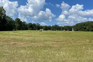 3754 Annie Rd, Marianna, FL 32446 - Photo 40