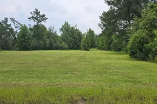 320 Freeman Rouse Rd, Wewahitchka, FL 32465 - Photo 4