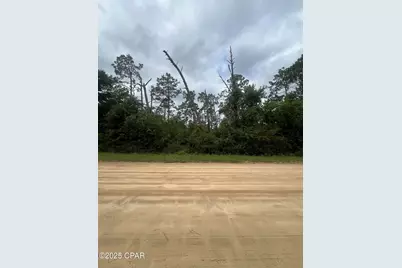 0 Brandon Road, Fountain, FL 32438 - Photo 8