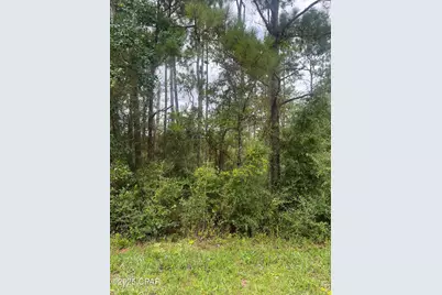 0 Brandon Road, Fountain, FL 32438 - Photo 6