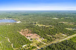 6807 NW Porter Grade Rd, Altha, FL 32421 - Photo 40