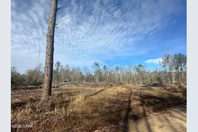 Tract 6331 Sellers Road, Bonifay, FL 32425 - Photo 4
