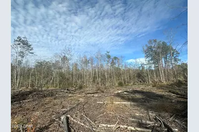 Tract 6331 Sellers Road, Bonifay, FL 32425 - Photo 1
