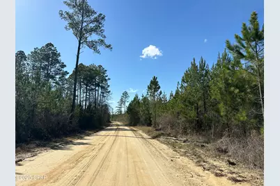 Tract#6317 Harris Stevenson Road, Bonifay, FL 32425 - Photo 8