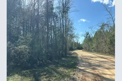 Tract#6317 Harris Stevenson Road, Bonifay, FL 32425 - Photo 2