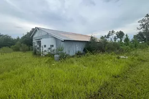 195 Timberlane Rd, Wewahitchka, FL 32465 - Photo 2