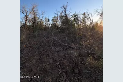 Lot 15 Trellis Drive, Chipley, FL 32428 - Photo 6