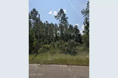 00 Flagler Drive, Chipley, FL 32428 - Photo 6