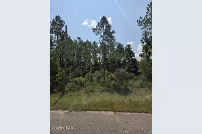 00 Flagler Drive, Chipley, FL 32428 - Photo 4