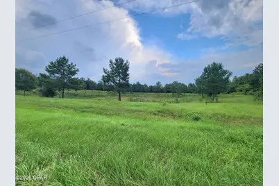 00 Lovedale Road, Bascom, FL 32423 - Photo 1