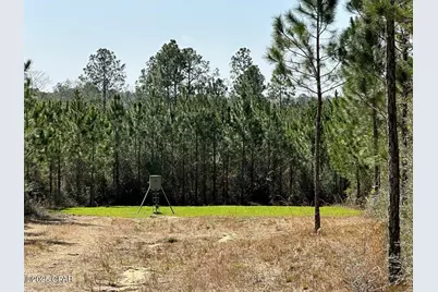 Tract#6416 S Douglas Ferry Road, Caryville, FL 32427 - Photo 12