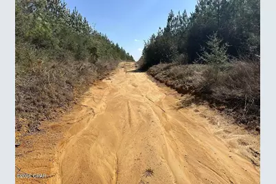 Tract#6416 S Douglas Ferry Road, Caryville, FL 32427 - Photo 4