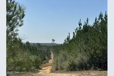 Tract#6416 S Douglas Ferry Road, Caryville, FL 32427 - Photo 10