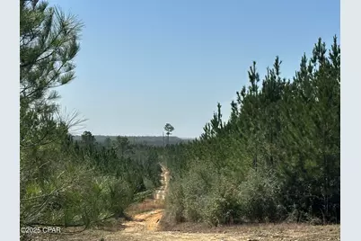 Tract#6416 S Douglas Ferry Road, Caryville, FL 32427 - Photo 2
