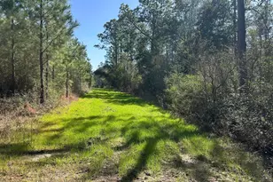 Tract#6416 S Douglas Ferry Rd, Caryville, FL 32427 - Photo 1