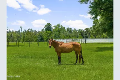 13935 Blue Springs Road, Youngstown, FL 32466 - Photo 120