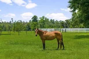 13935 Blue Springs Rd, Youngstown, FL 32466 - Photo 120