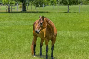 13935 Blue Springs Rd, Youngstown, FL 32466 - Photo 118