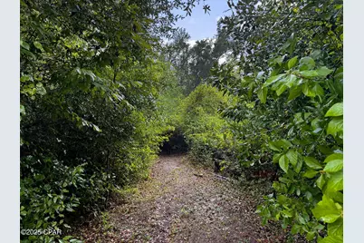 13935 Blue Springs Road, Youngstown, FL 32466 - Photo 56