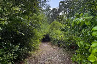 13935 Blue Springs Rd, Youngstown, FL 32466 - Photo 56