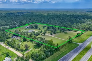 19618 Hwy 231, Fountain, FL 32438 - Photo 4