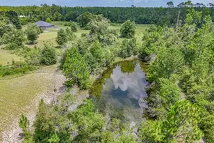 19618 Hwy 231, Fountain, FL 32438 - Photo 72