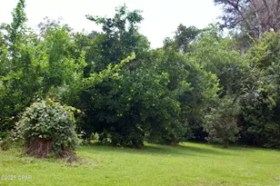 2945 Park St, Marianna, FL 32446 - Photo 46