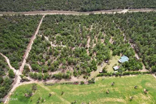 3860 Fox Hunt Rd, Chipley, FL 32428 - Photo 32