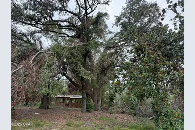 3381 S Highway 2, Bonifay, FL 32425 - Photo 40