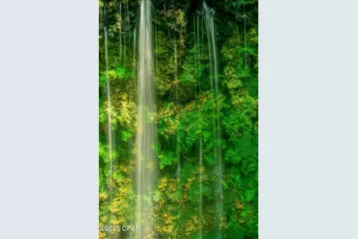 Parcel B Hwy 177A, Bonifay, FL 32425 - Photo 12