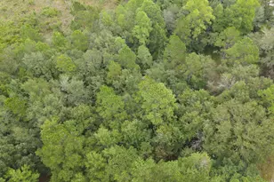 0 Bryerwood Ln, Bonifay, FL 32425 - Photo 1