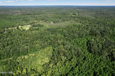 00 St Mary Road, Caryville, FL 32427 - Photo 8