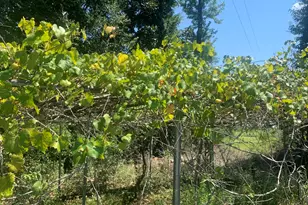 13537 NW Missy Ln, Clarksville, FL 32430 - Photo 42