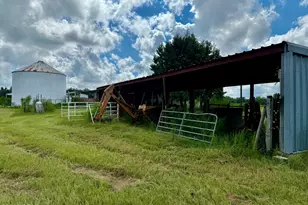 3560 Peanut Rd, Cottondale, FL 32431 - Photo 4